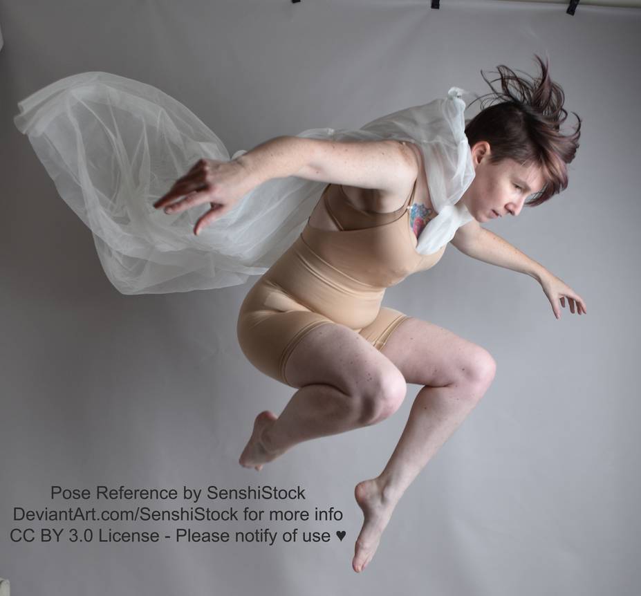 Pose Reference — PoseMuse.com My Pose Reference Book Set - Volumes...